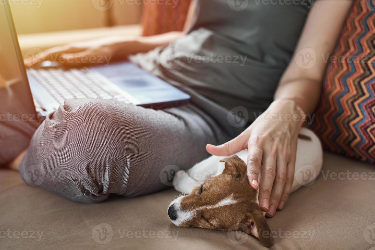 kvinna Sammanträde på soffa med henne valp domkraft russel terrier hund och arbete på bärbar dator foto