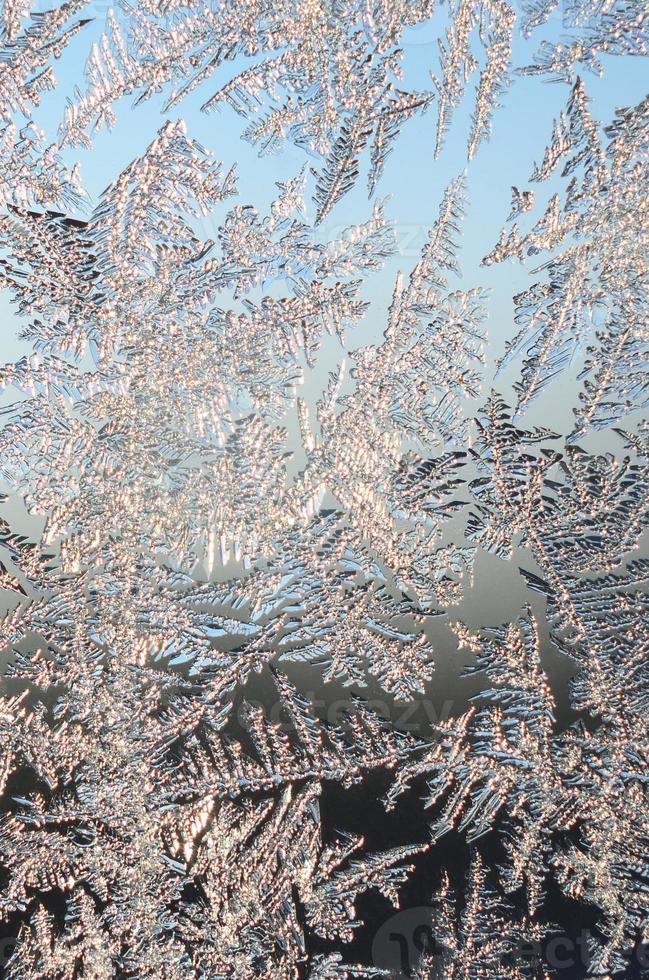 snöflingor frost rimfrost makro på fönster glas Ruta foto