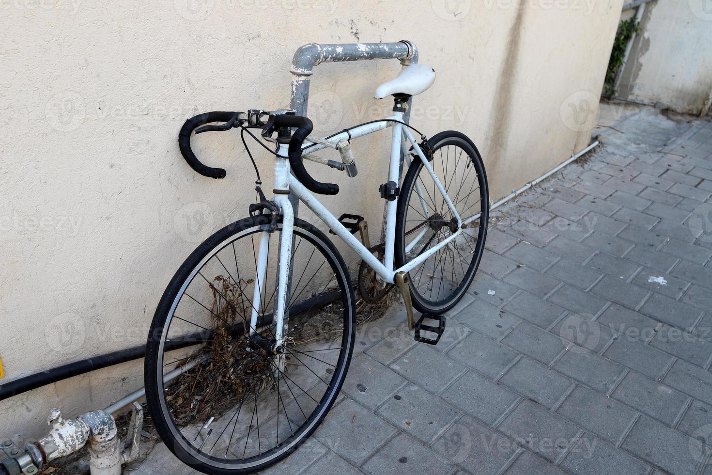 cykel i de stad parkera nära de hav. foto