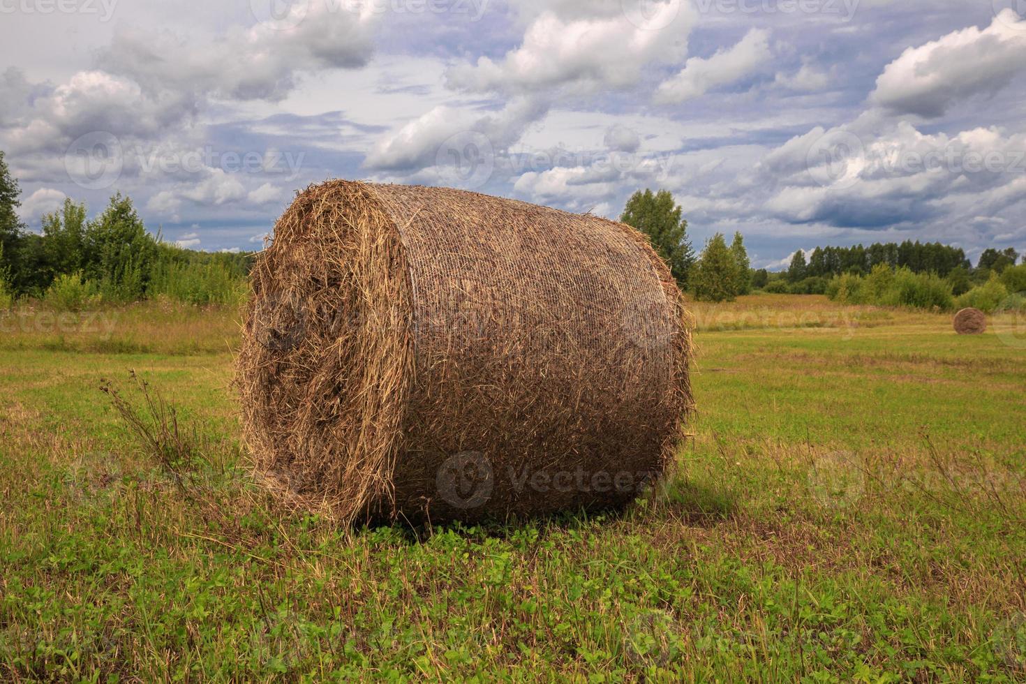 de bal av hö liggande på de fält mot de himmel foto