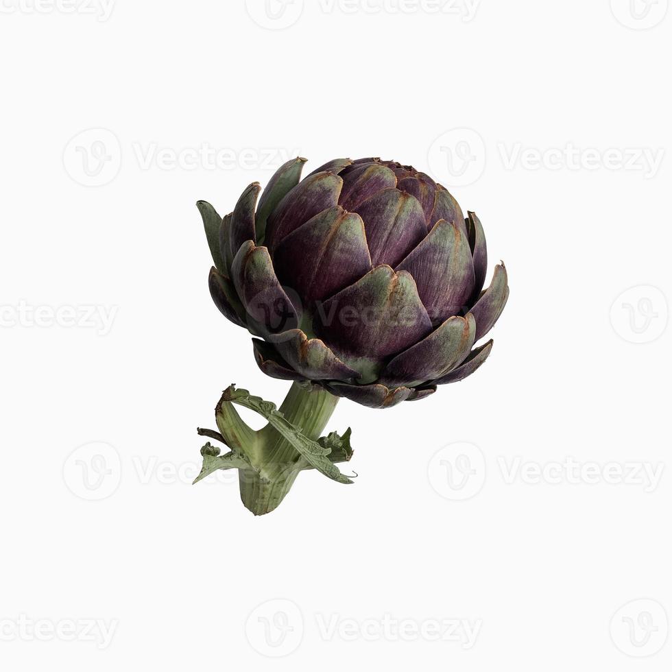 kronärtskocka färsk violett vegetabiliska växt Skära ut närbild, rå mat organisk diet begrepp, klippning väg foto