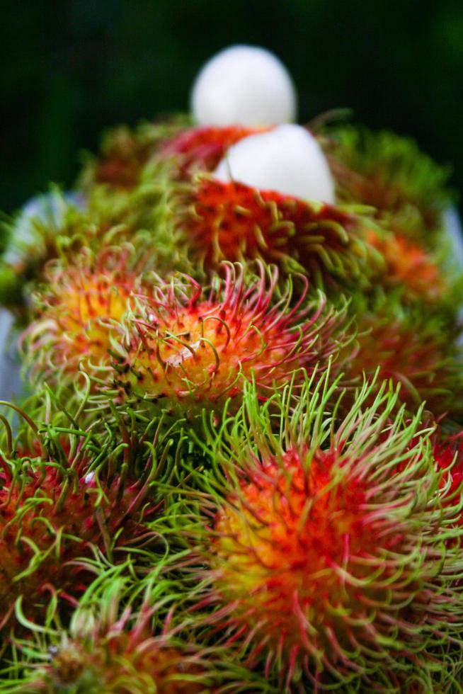 thai frukt, ljuv rambutan, skön Färg från de söder av thailand. foto