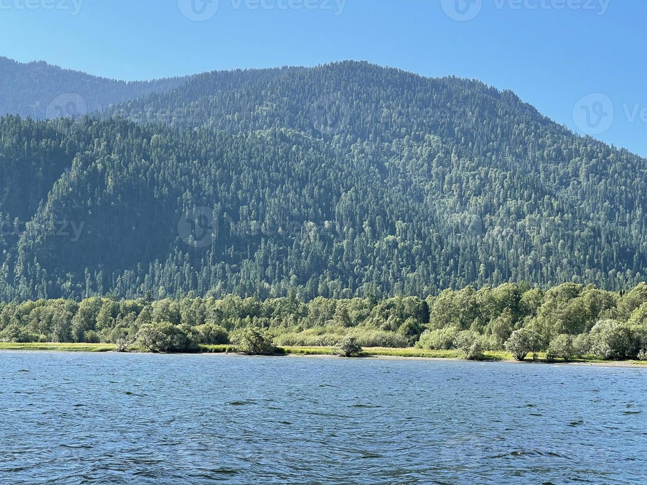 sjö teletskoye i solig dag. altai, Ryssland. foto