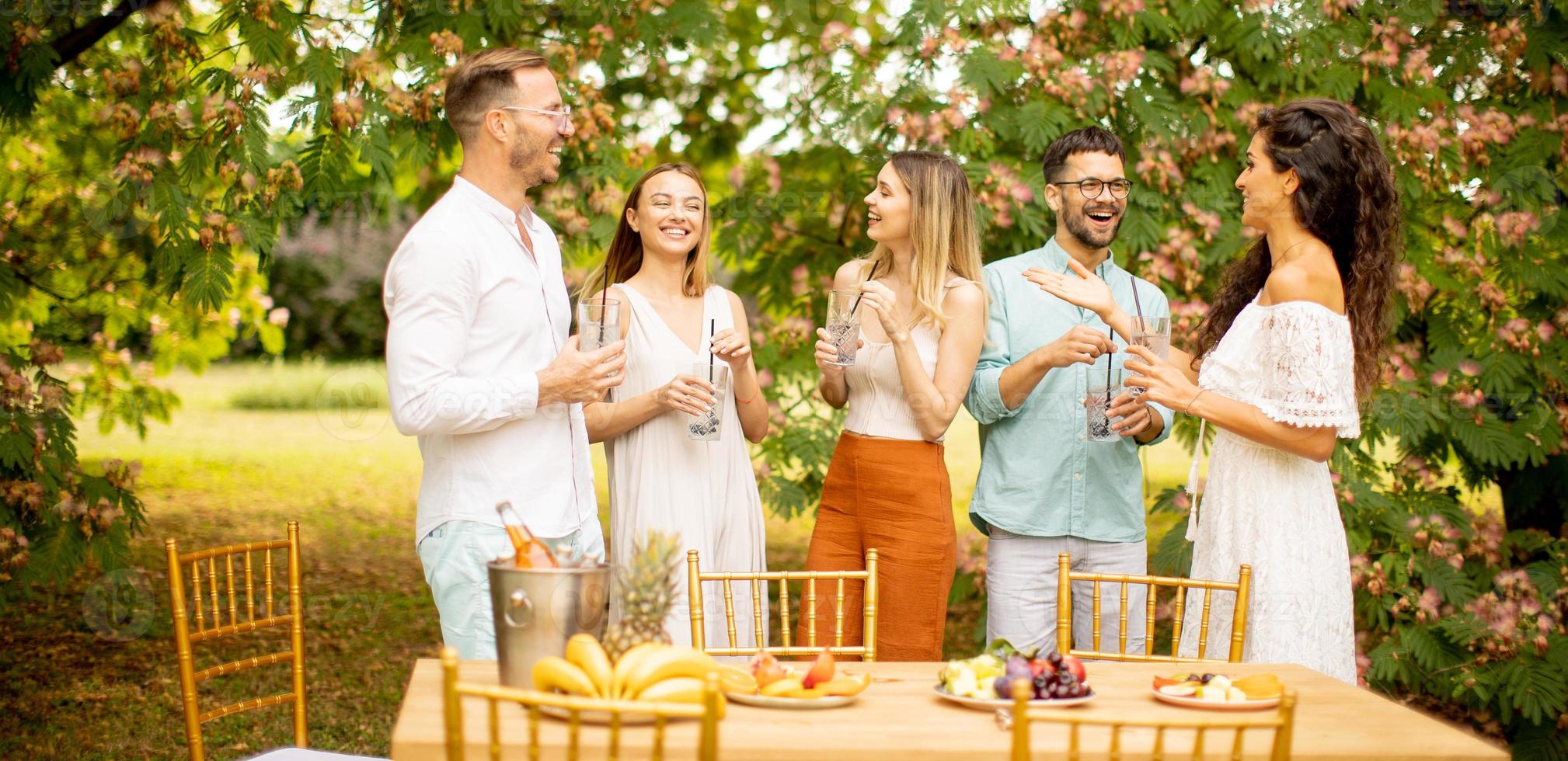 grupp av Lycklig ung människor glädjande med färsk citronsaft och äter frukt i de trädgård foto