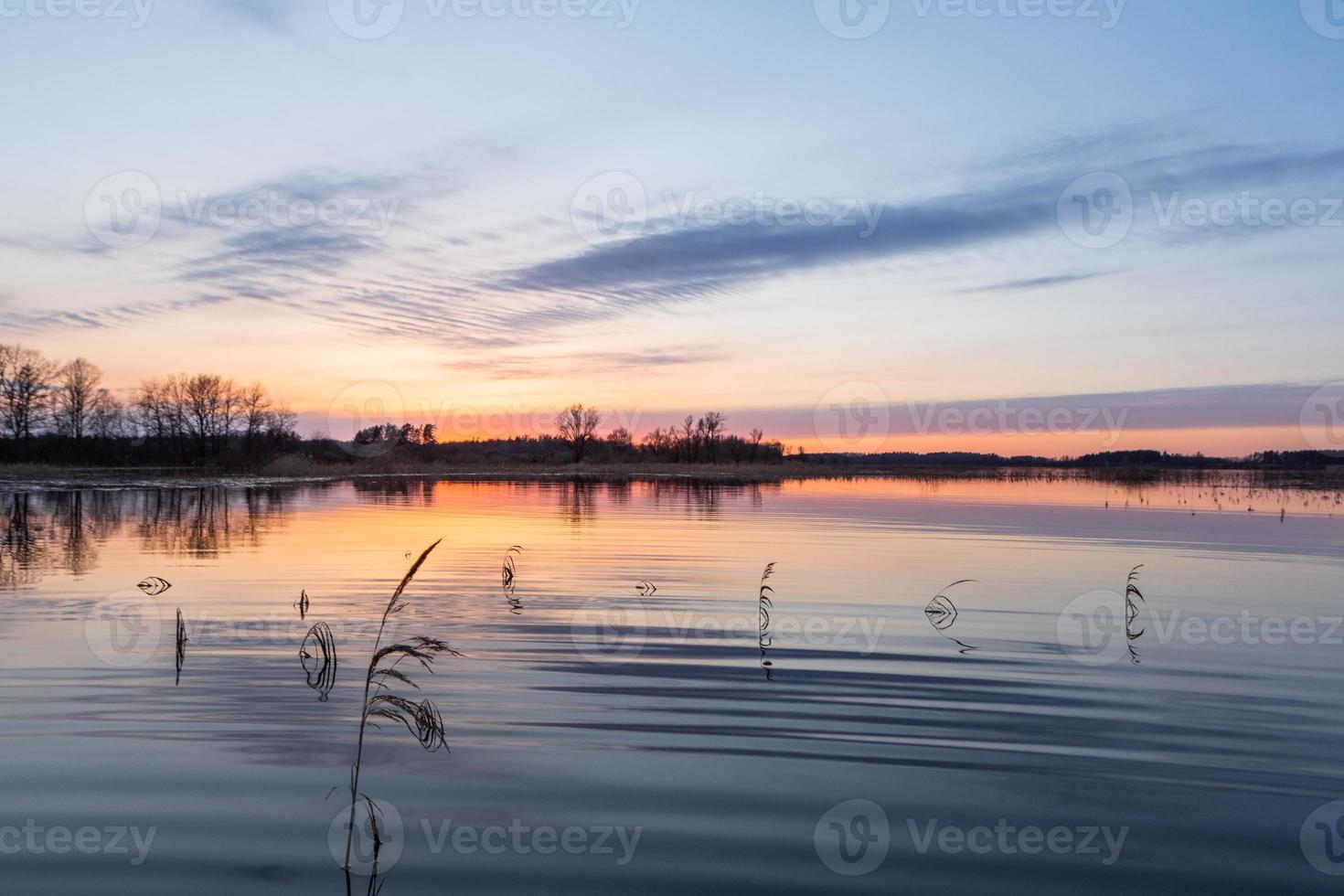 översvämmad ängar i vår foto