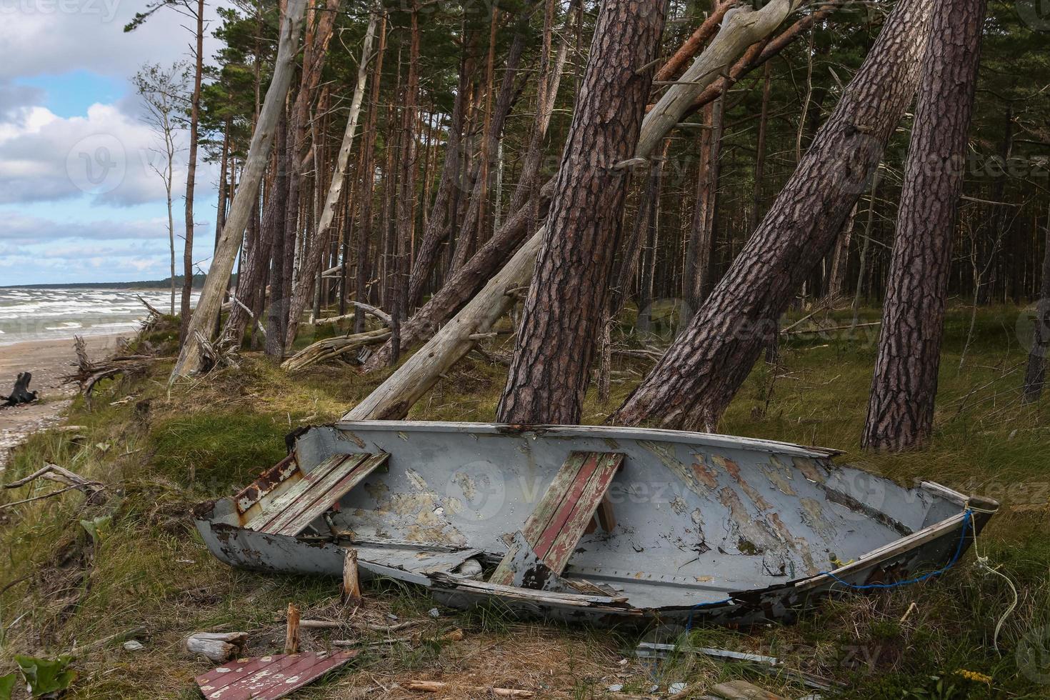 fiske båtar på de kust av de baltic hav foto