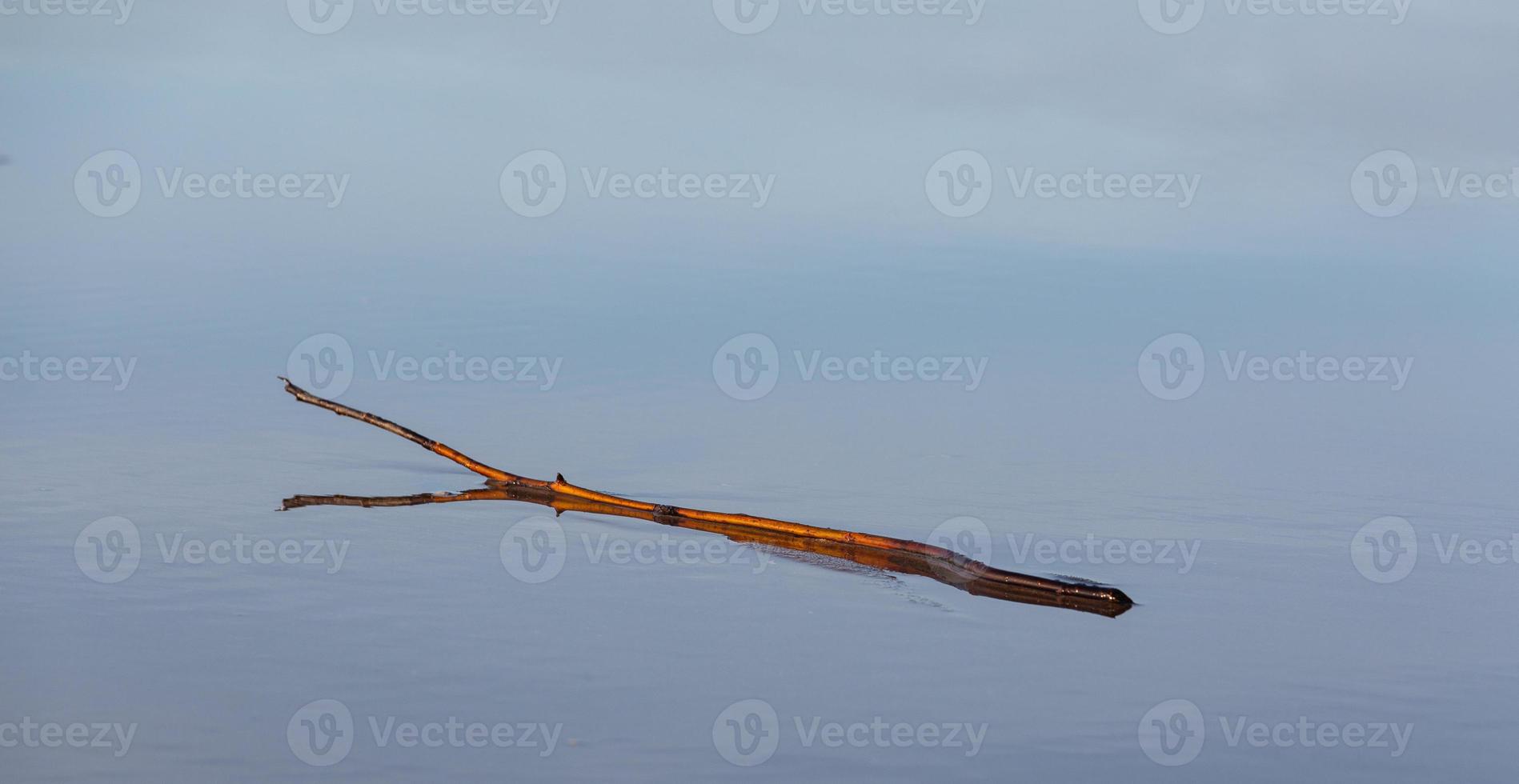 baltic hav kust med småsten och is på solnedgång foto