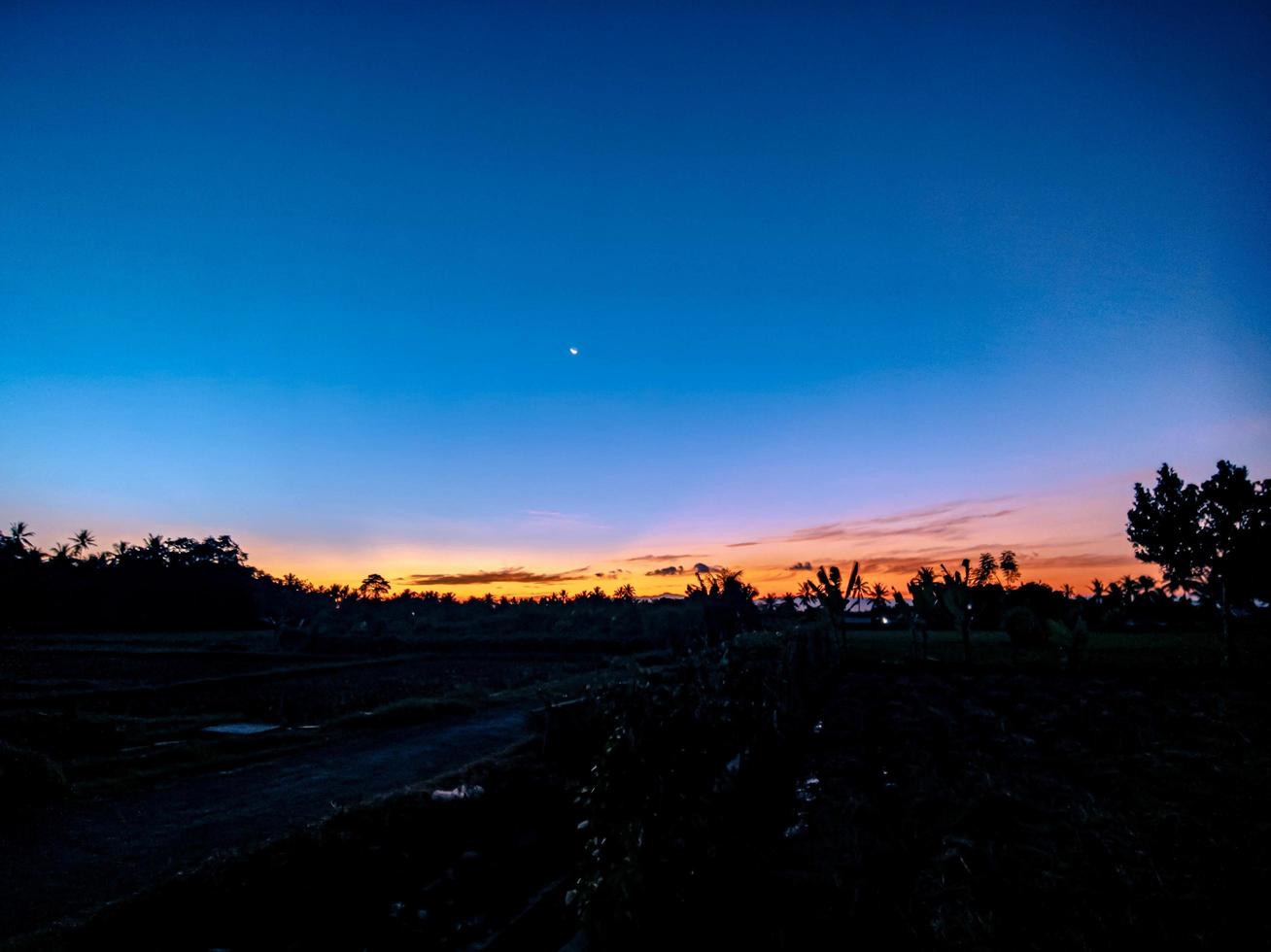 soluppgång i de morgon- i en by i de mitten av ris fält foto