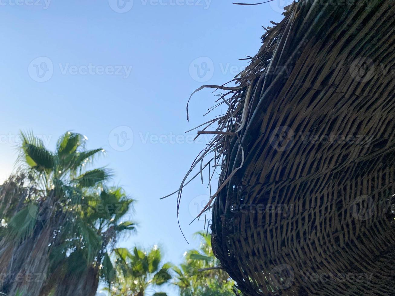 strand paraply med blå hav och himmel, grekland foto