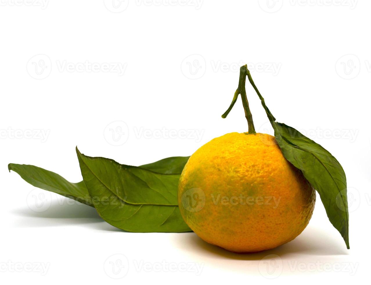 mandarin och mandarin löv. foto