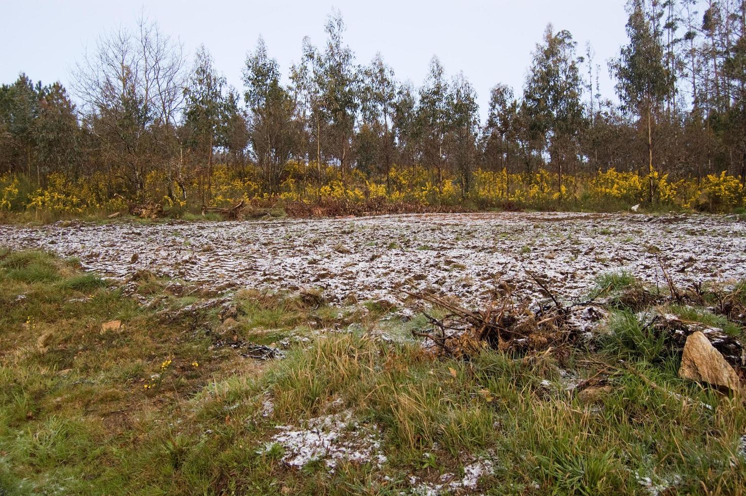 jordbruks landa med snö. norr av Spanien i vinter- foto