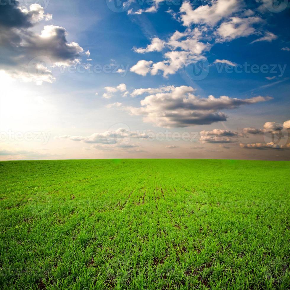 dramatisk himmel över grönt fält foto