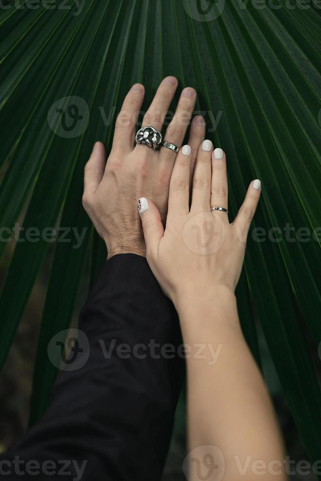 stänga upp bröllop ringar på händer begrepp Foto