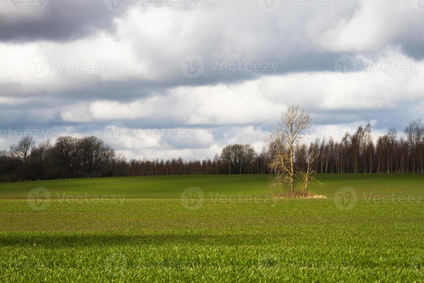 vår landskap med moln foto