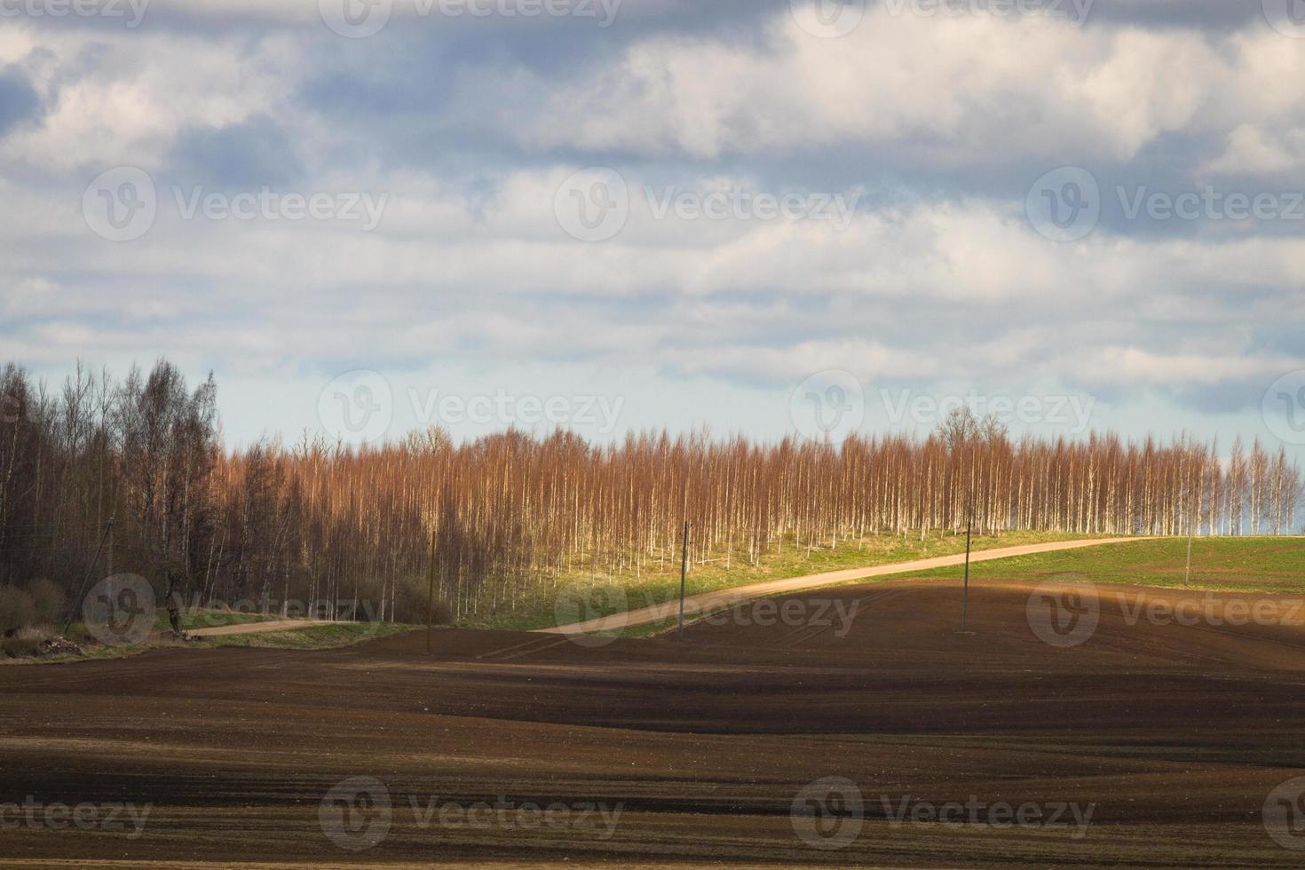 vår landskap med moln foto