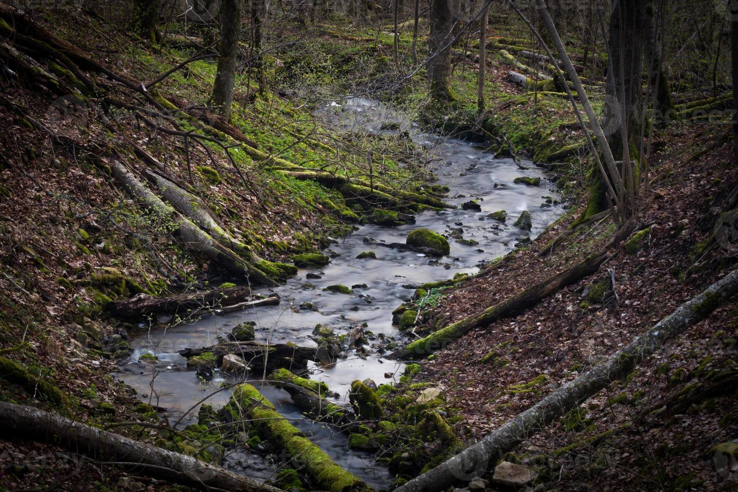små skog flod i tidigt springtime foto