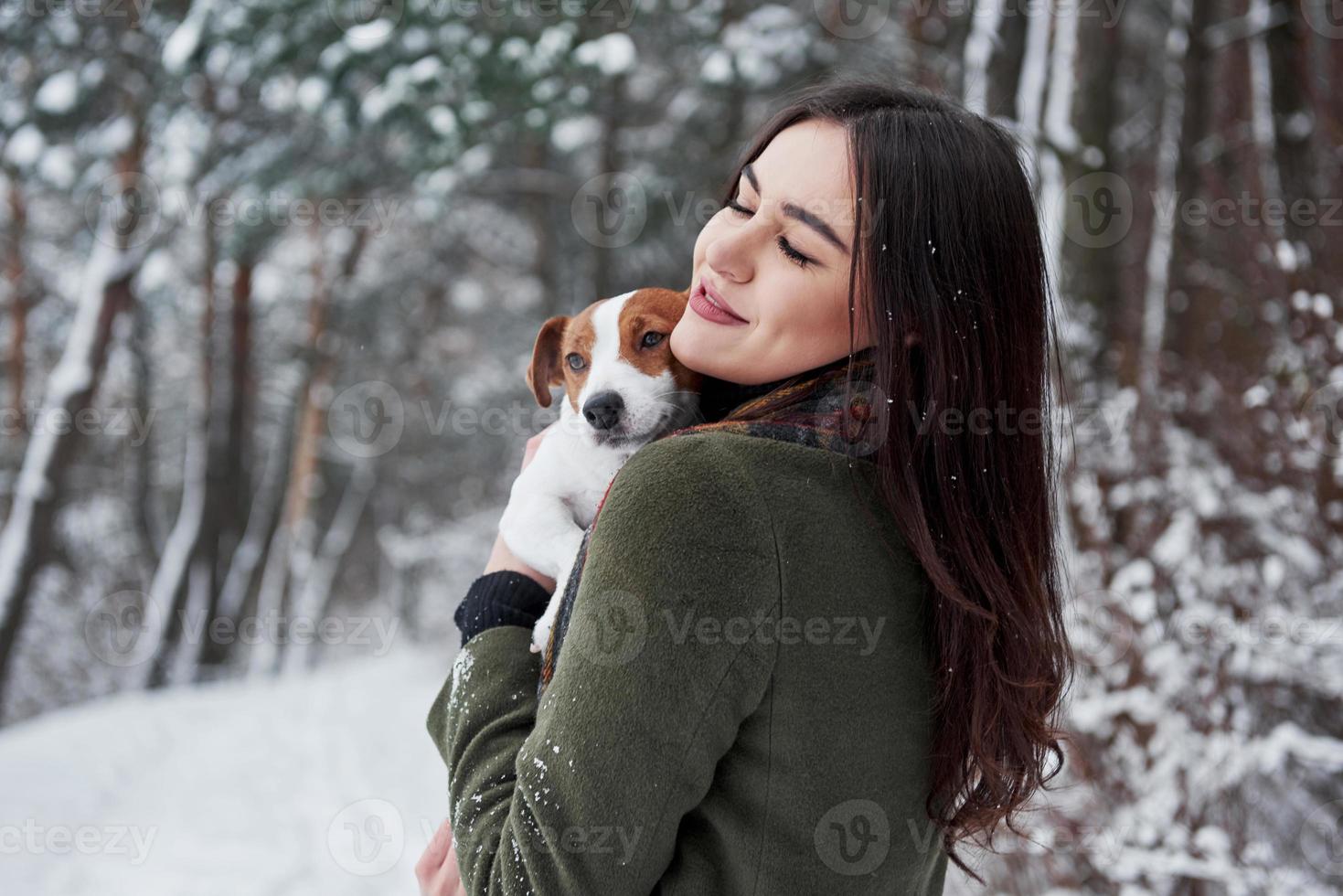 nöjd se. leende brunett har roligt medan gående med henne hund i de vinter- parkera foto