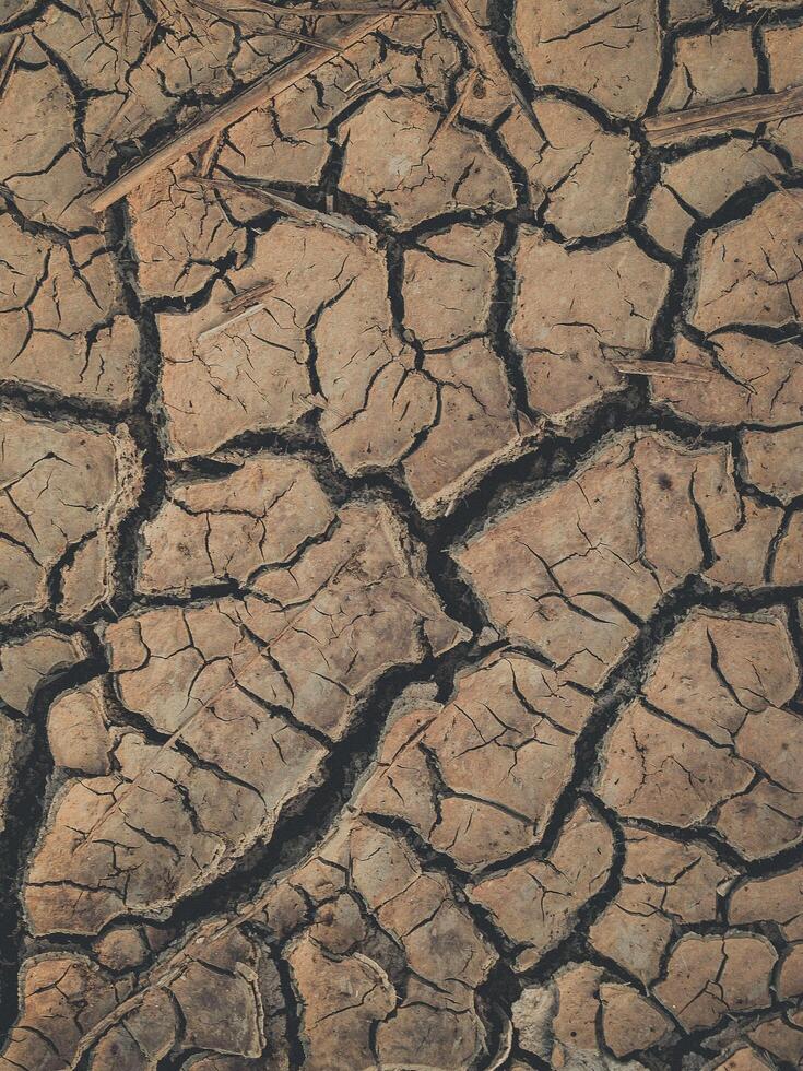 knäckt torr jord bakgrund foto