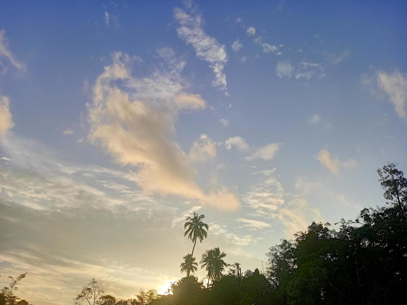 skön se klar blå himmel och massor av naturlig grön träd foto