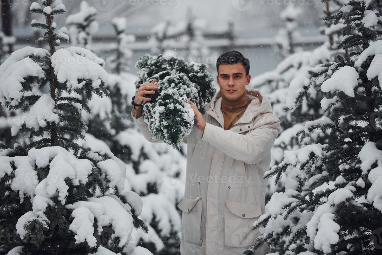 ung stilig man bärande färsk cutted gran träd utomhus foto