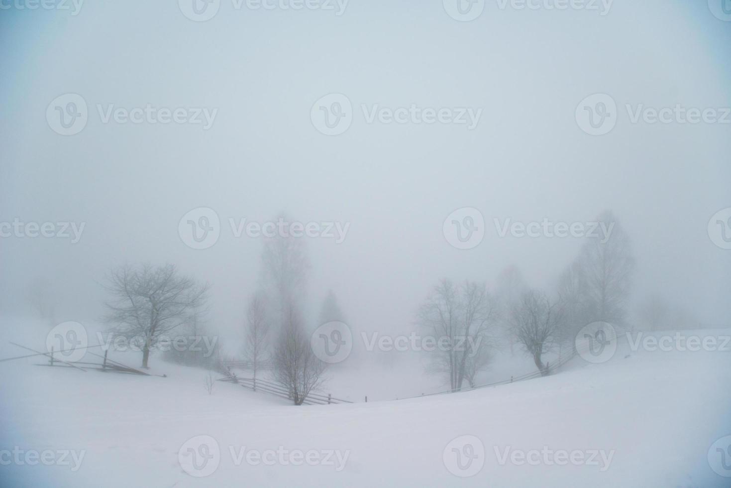 vackert vinterlandskap foto