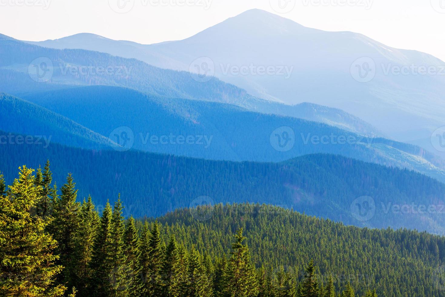 utsikt över dimmiga dimma i höst foto