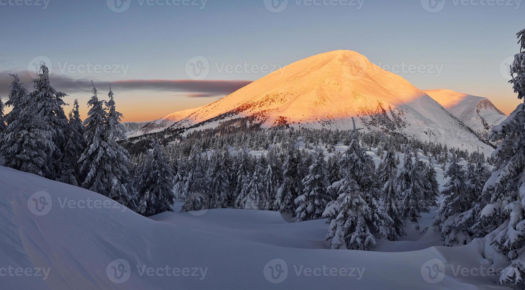 majestätisk petros berg upplyst förbi solljus. magisk vinter- landskap med snö täckt träd på dagtid foto