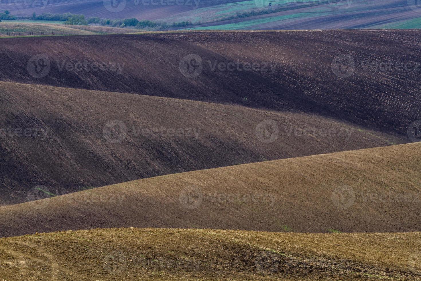 höst landskap i en moraviska fält foto