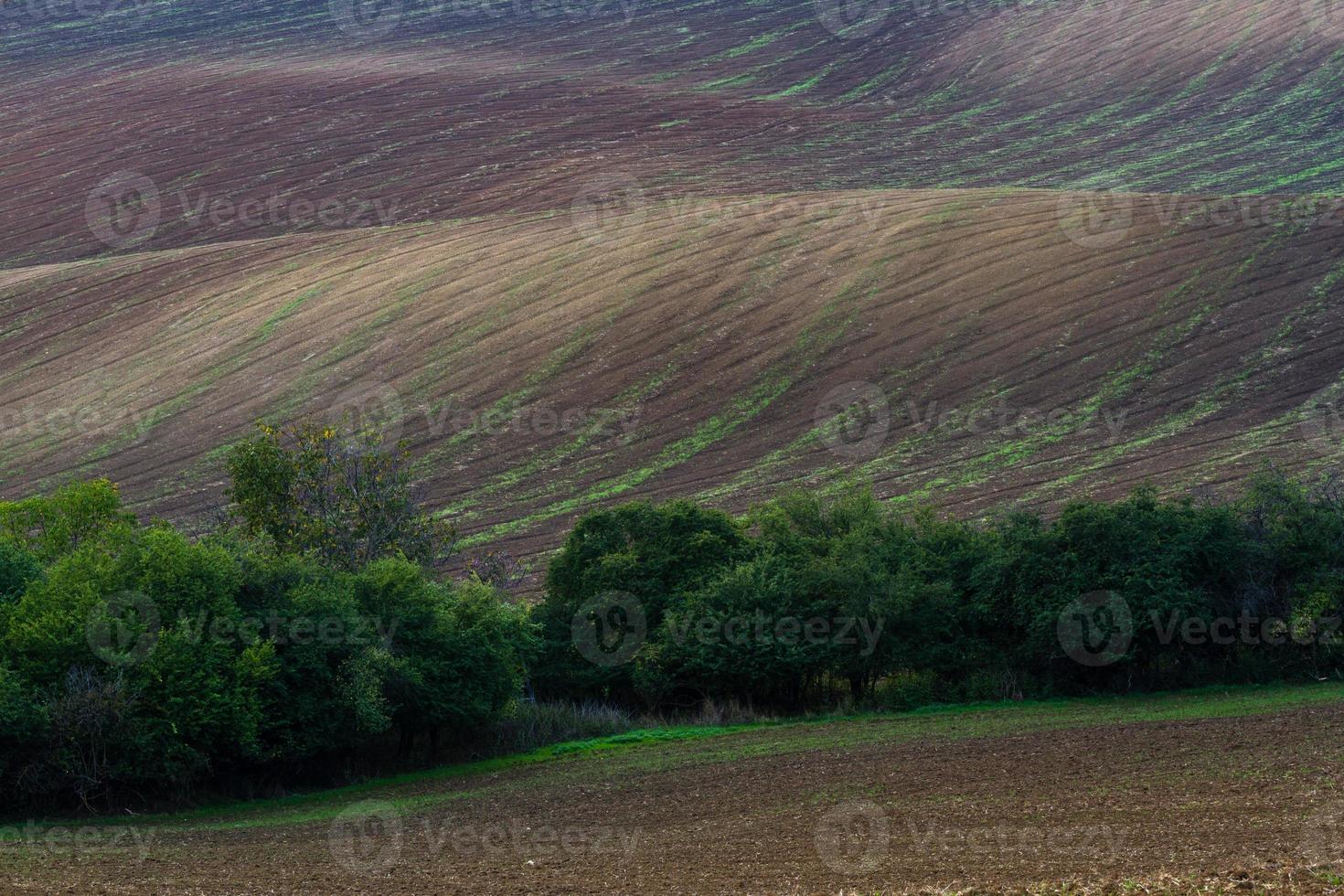 höst landskap i en moraviska fält foto