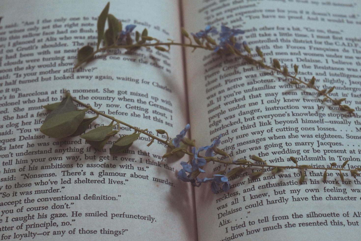 mycket liten lila blommor i gammal årgång bok foto