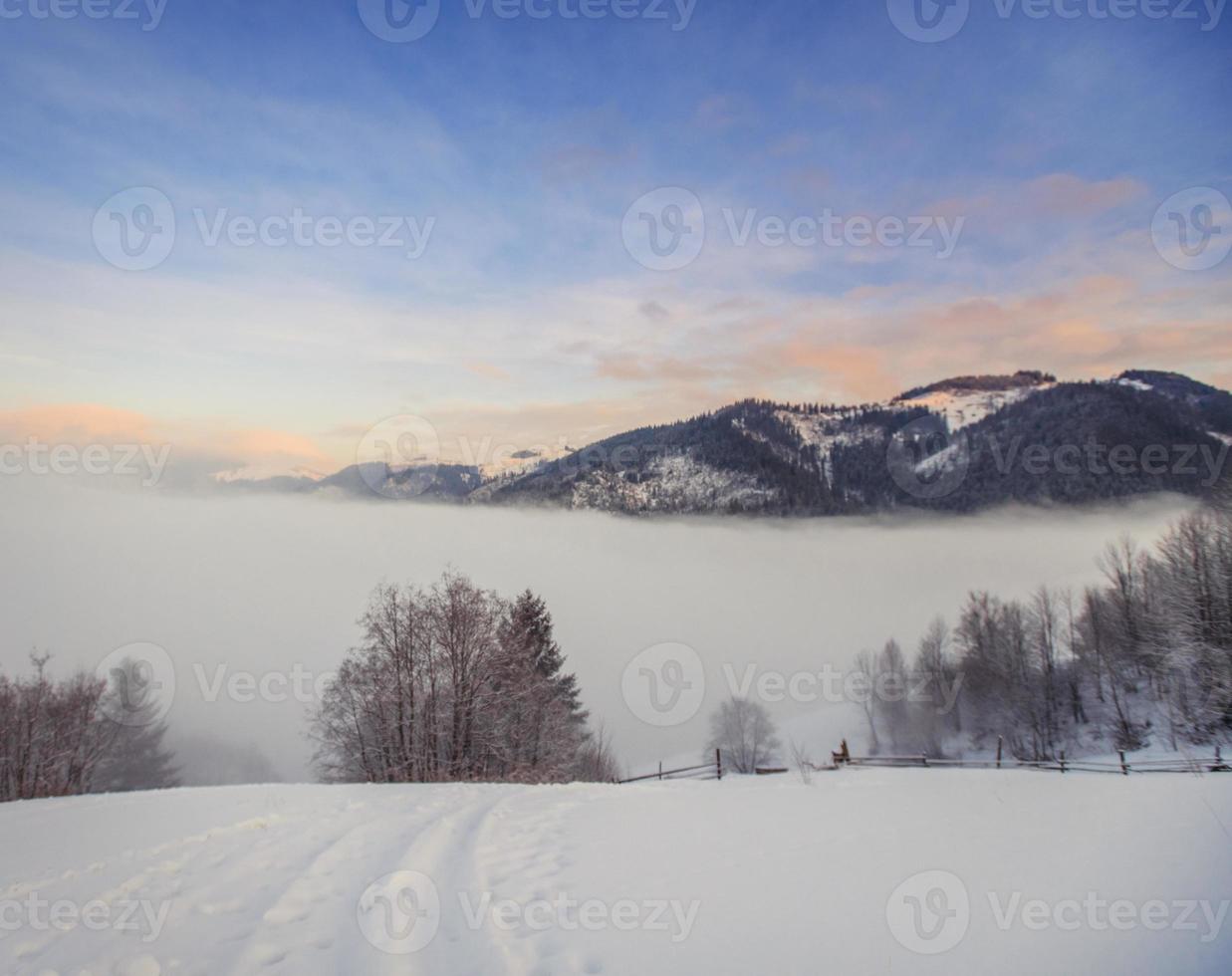 vackert vinterlandskap foto