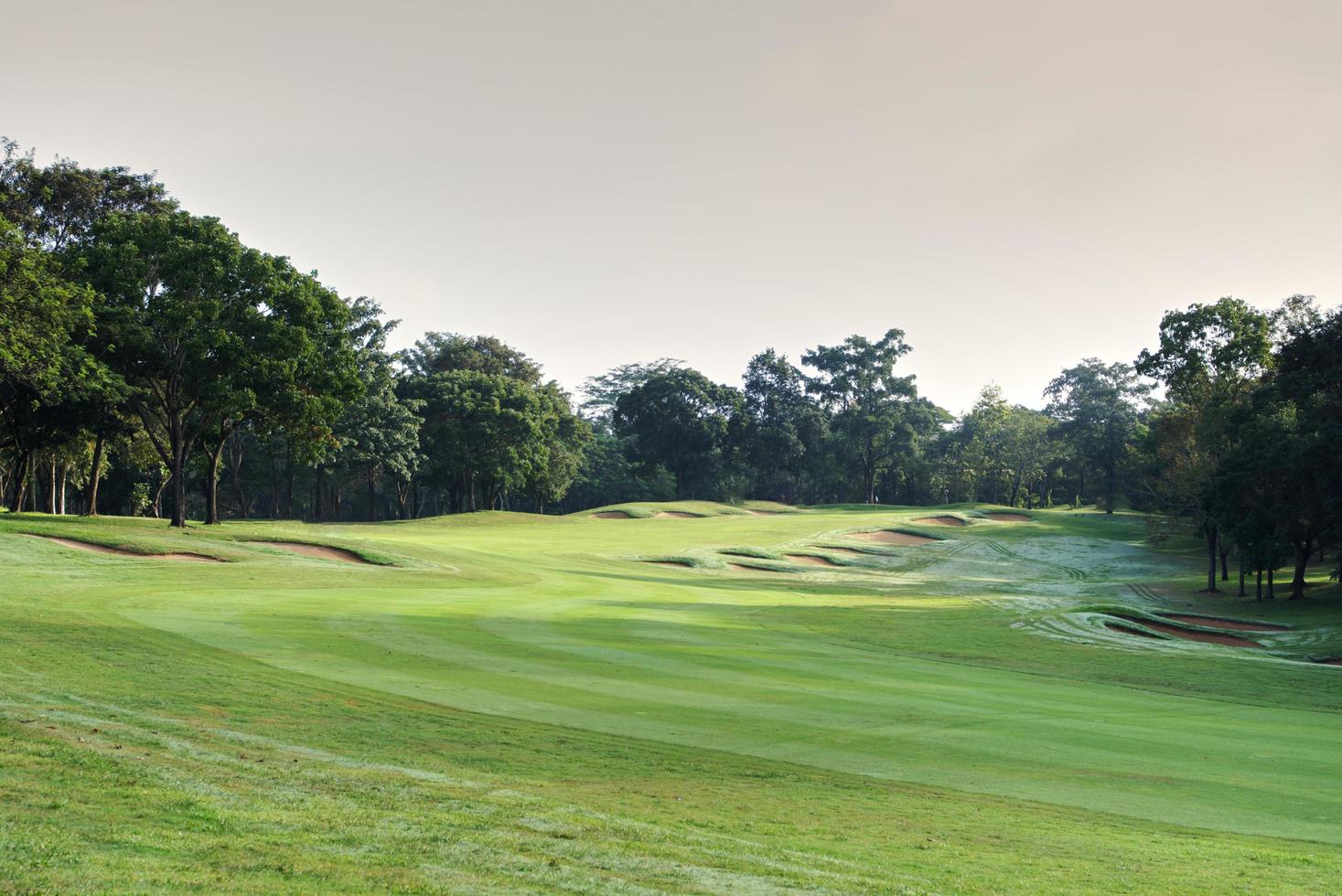 de skönhet av de golf kurs är upplyst i de morgon- ljus. foto