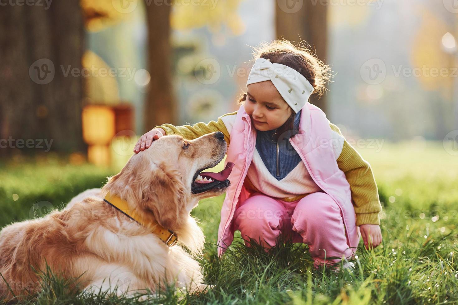 liten flicka ha en promenad med gyllene retriever hund i de parkera på dagtid foto