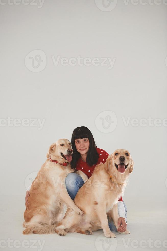 kvinna är med henne två gyllene retrievers i de studio mot vit bakgrund foto