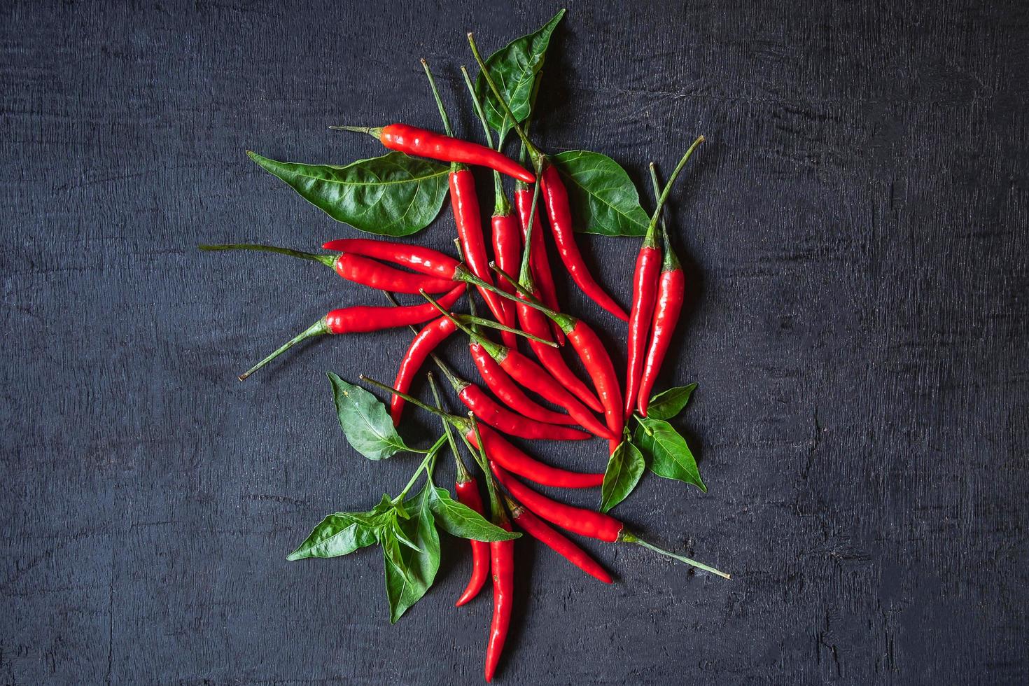 röd chili på svart bakgrund foto