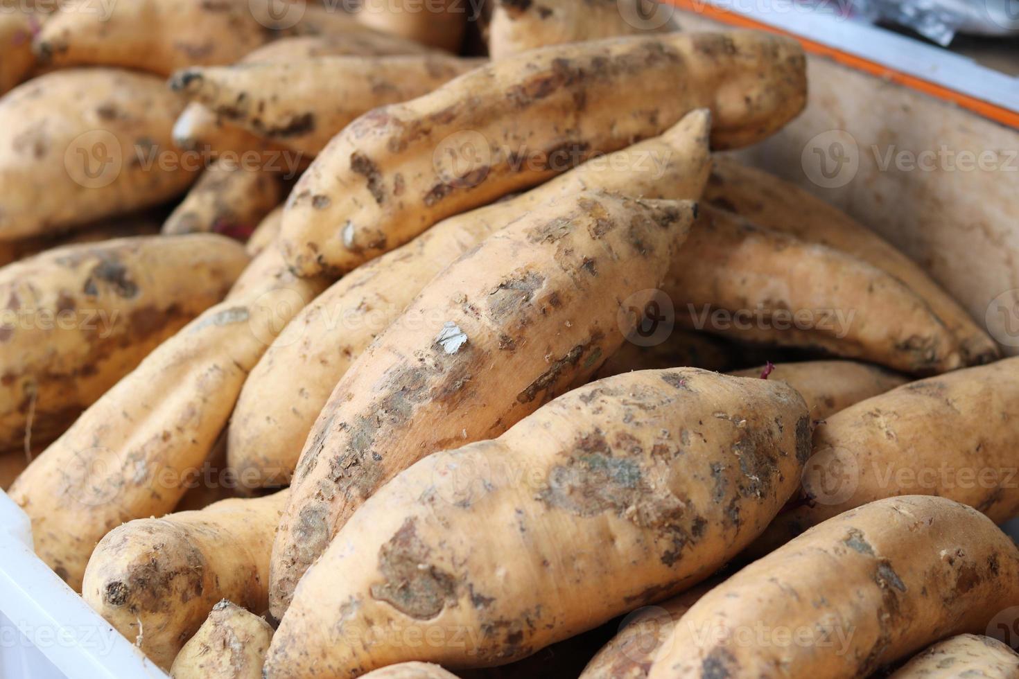 cilembu ljuv potatis. ett typ av ljuv potatis från indonesien den där har en ljuv smak tycka om honung foto