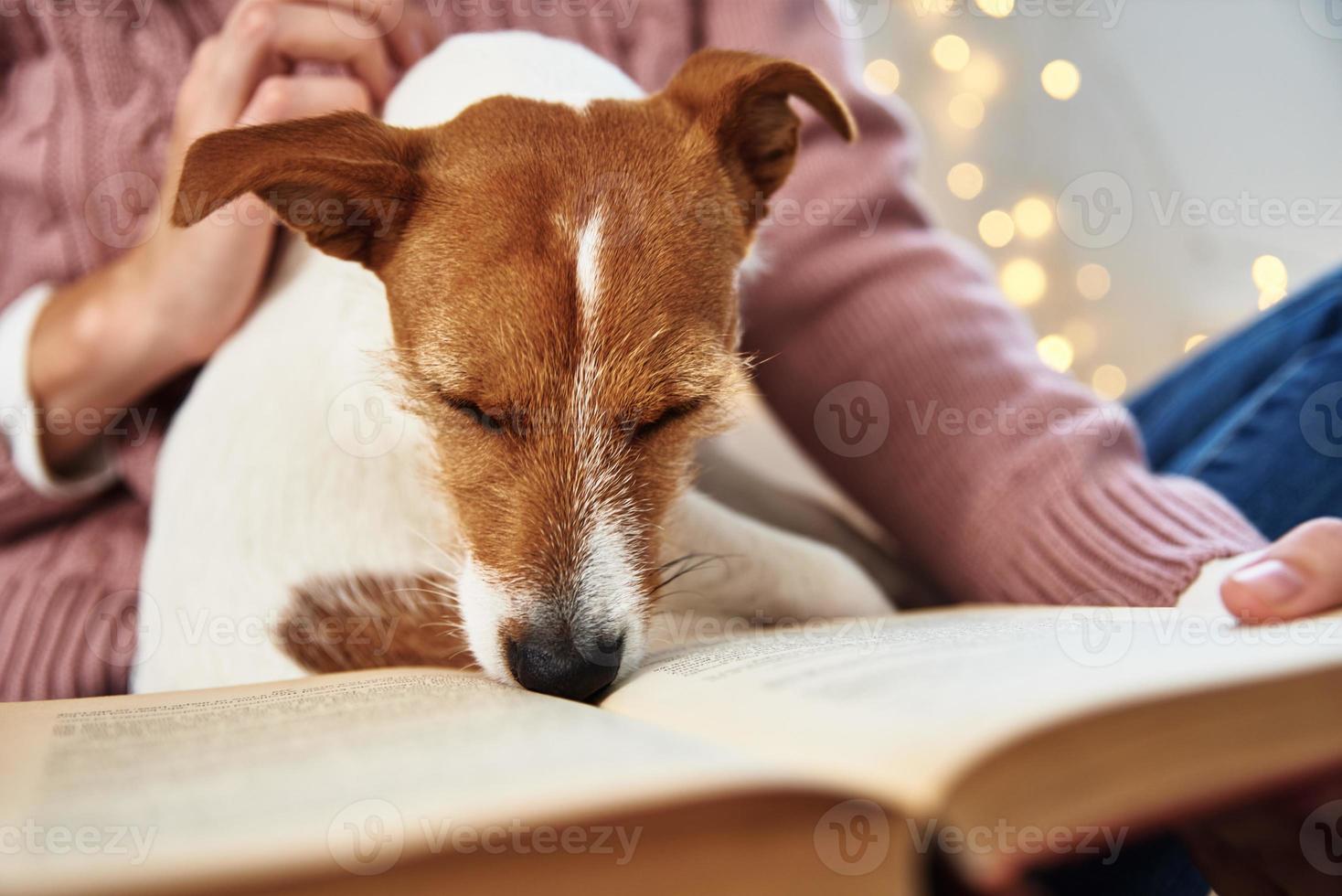 kvinna håll hund och läsning bok. avkopplande tillsammans med en sällskapsdjur foto