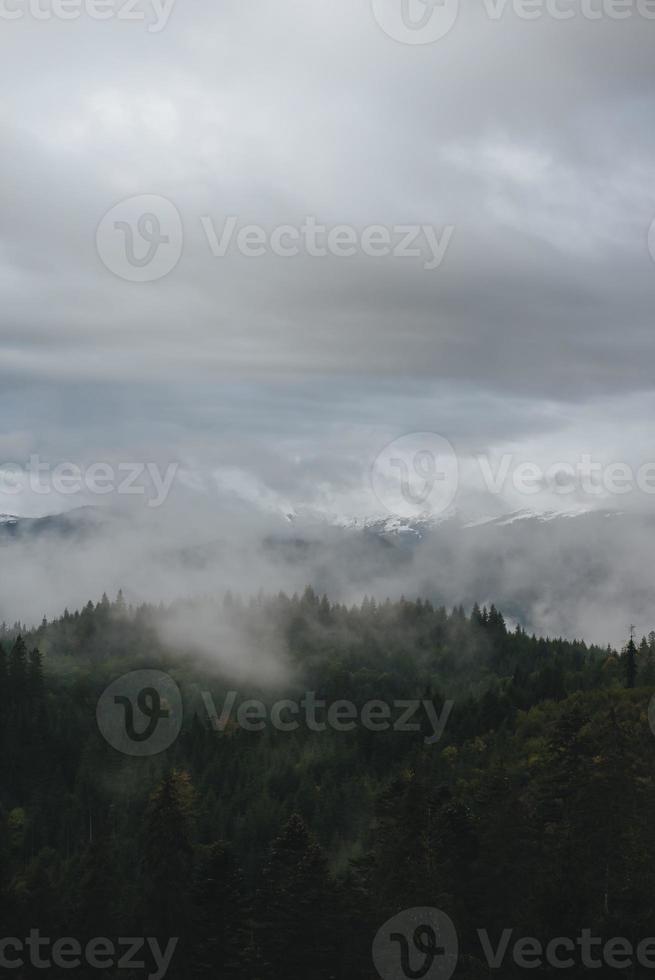 barr- skog och bergen landskap resa lugn landskap foto