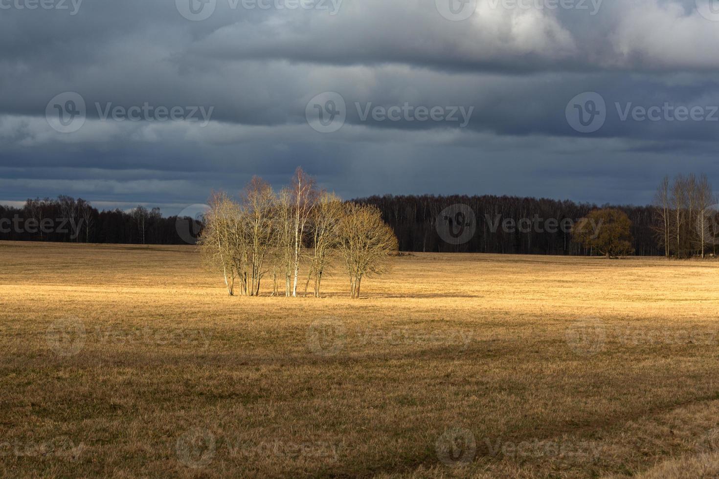 tidigt vår landskap foto