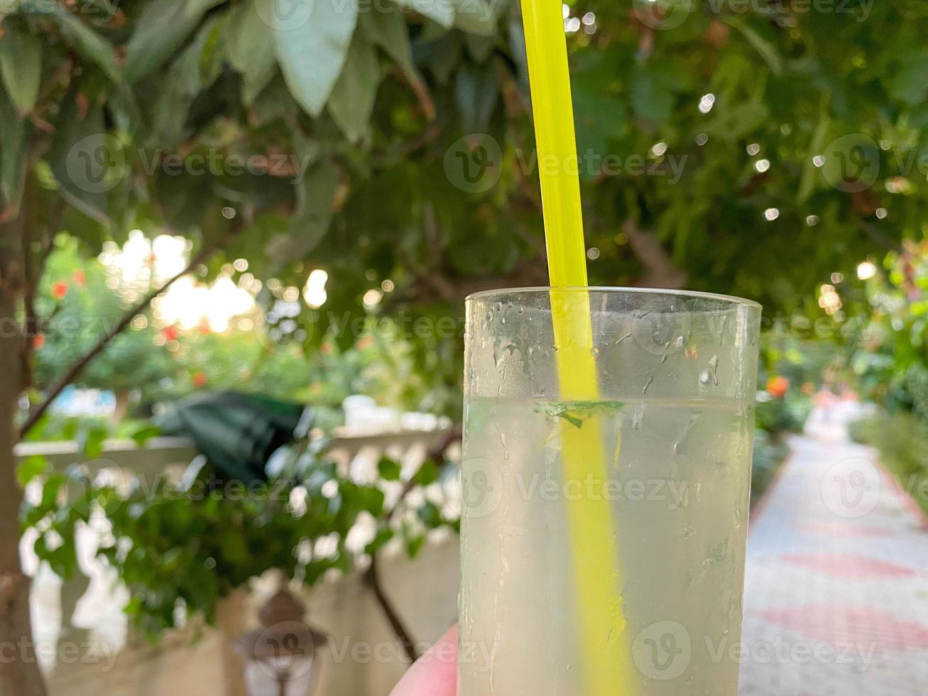 mohito cocktail med mynta, sugrör och is i en glas i en paradis värma östra tropisk Land av de tillflykt mot de bakgrund av grön träd foto