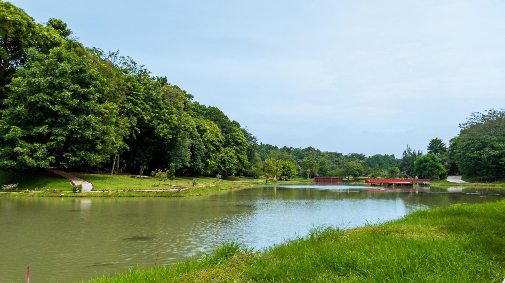 skön naturlig lanscape landskap, sjö med trä- bro, natur tapet, landskap bakgrund foto