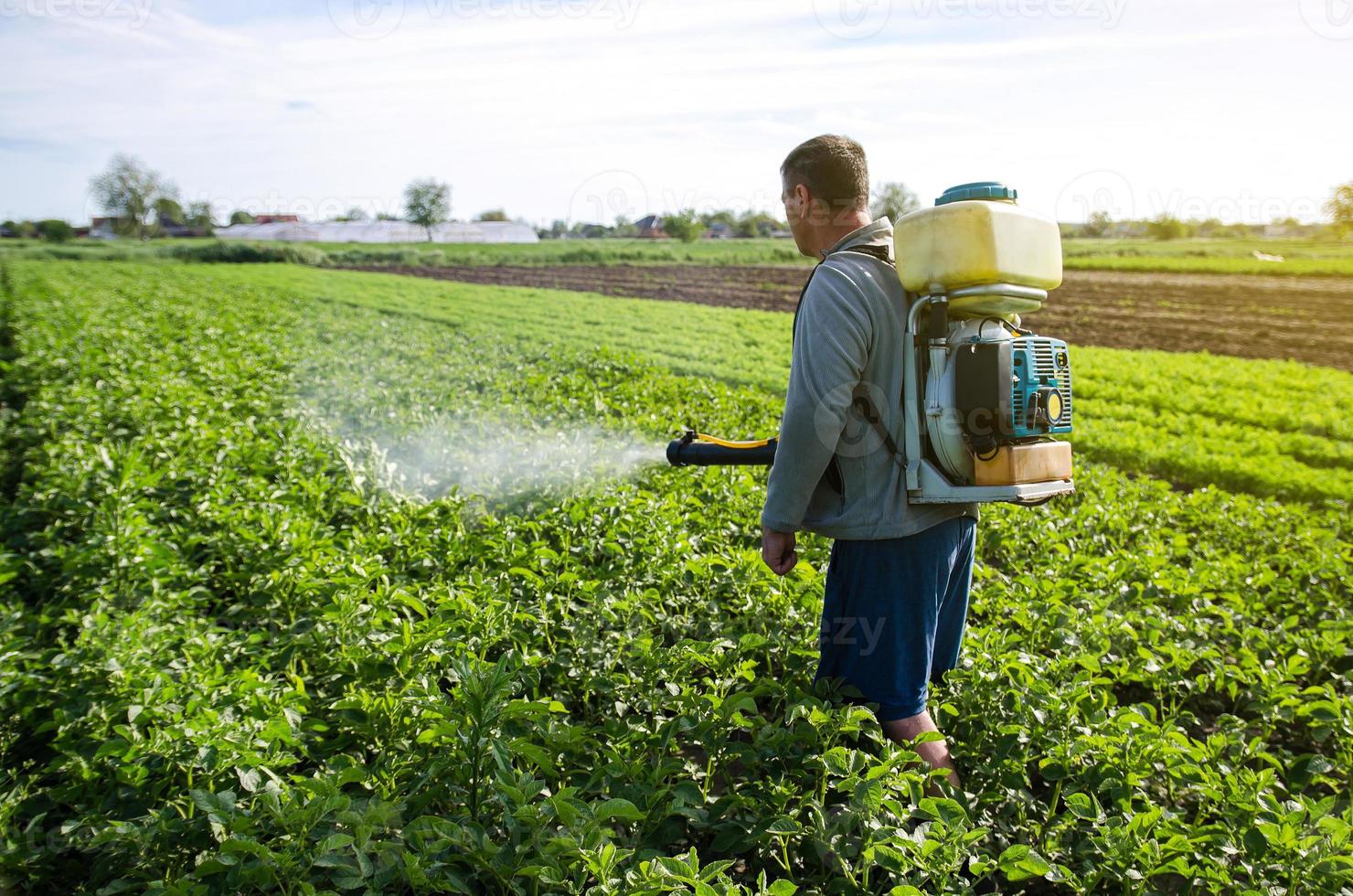 en jordbrukare med en dimma dimman spruta sprayer fungicid och pesticid på potatis buskar. skydd av kultiverad växter från insekter och svamp infektioner. effektiv beskära skydd, miljö- påverkan foto