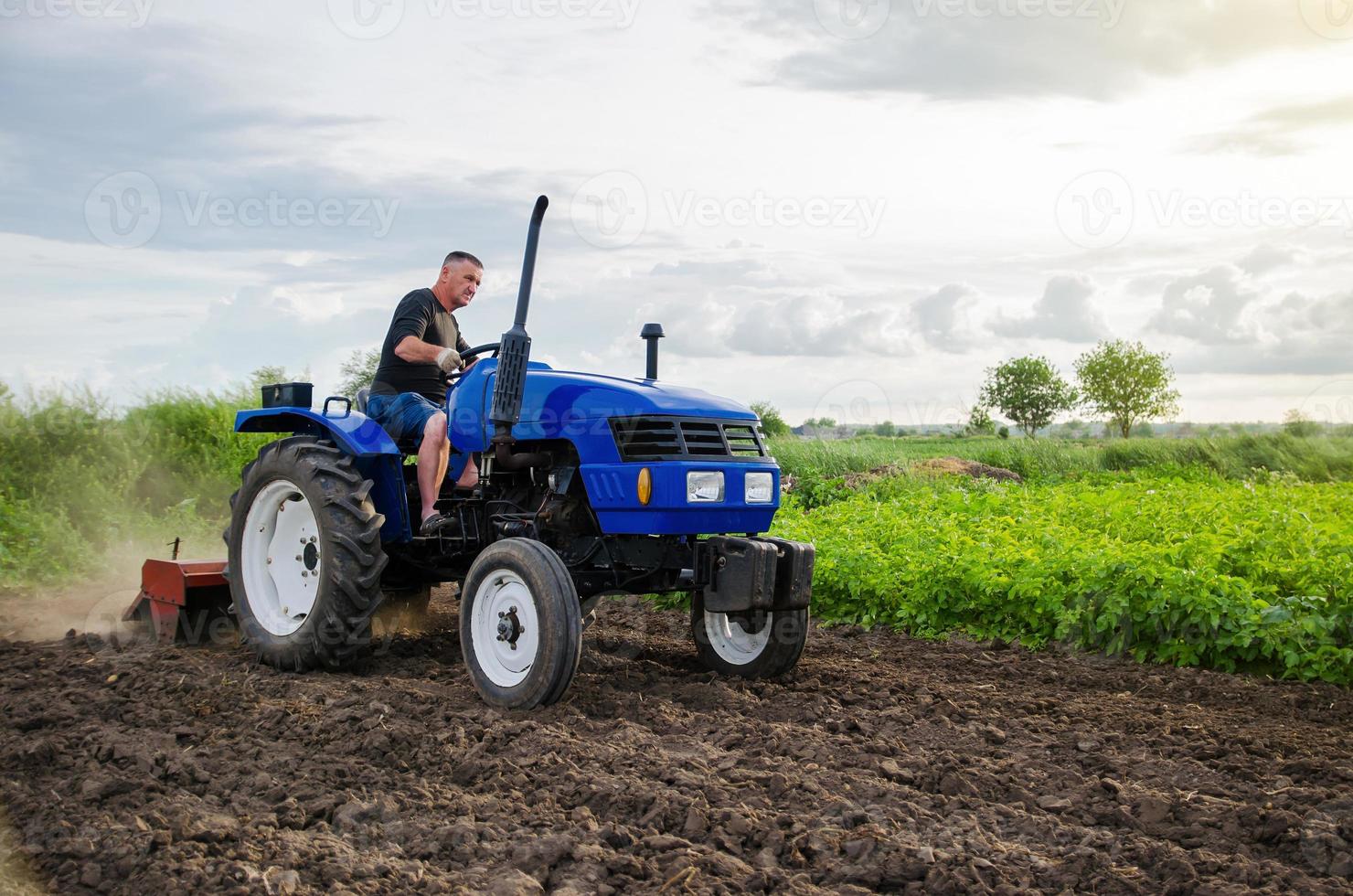 jordbrukare på traktor odlar bruka fält. fräsning jord, förkrossande och lossna jord innan skärande rader. jordbruk, lantbruk. förberedande markarbeten innan plantering en ny beskära. landa odling foto