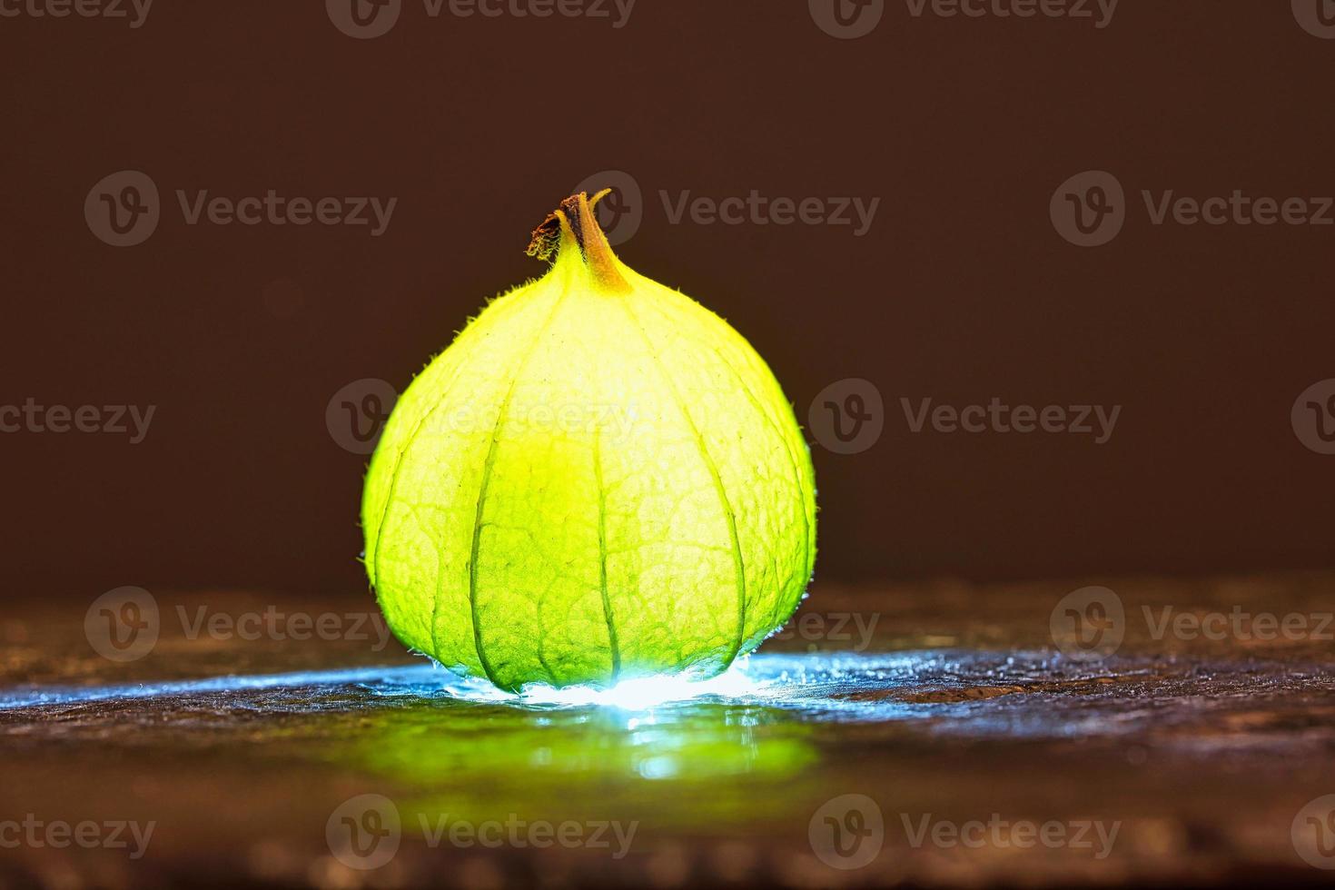 physalis på svart våt jord. upplyst frukt. vitamin c rik frukt. strukturer foto