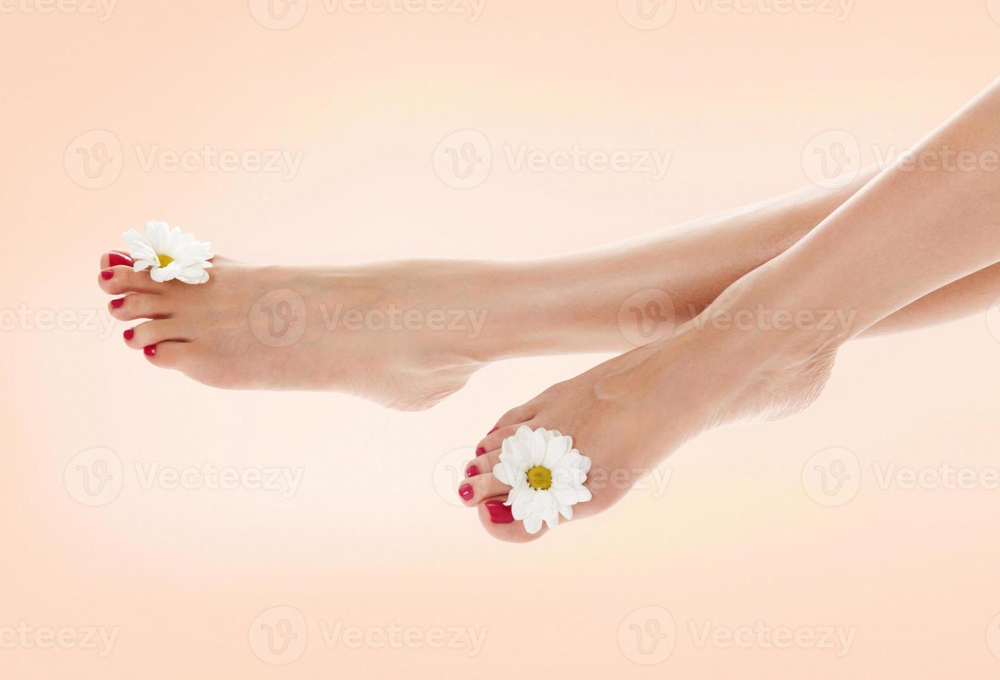 skön kvinna ben med daisy blomma foto