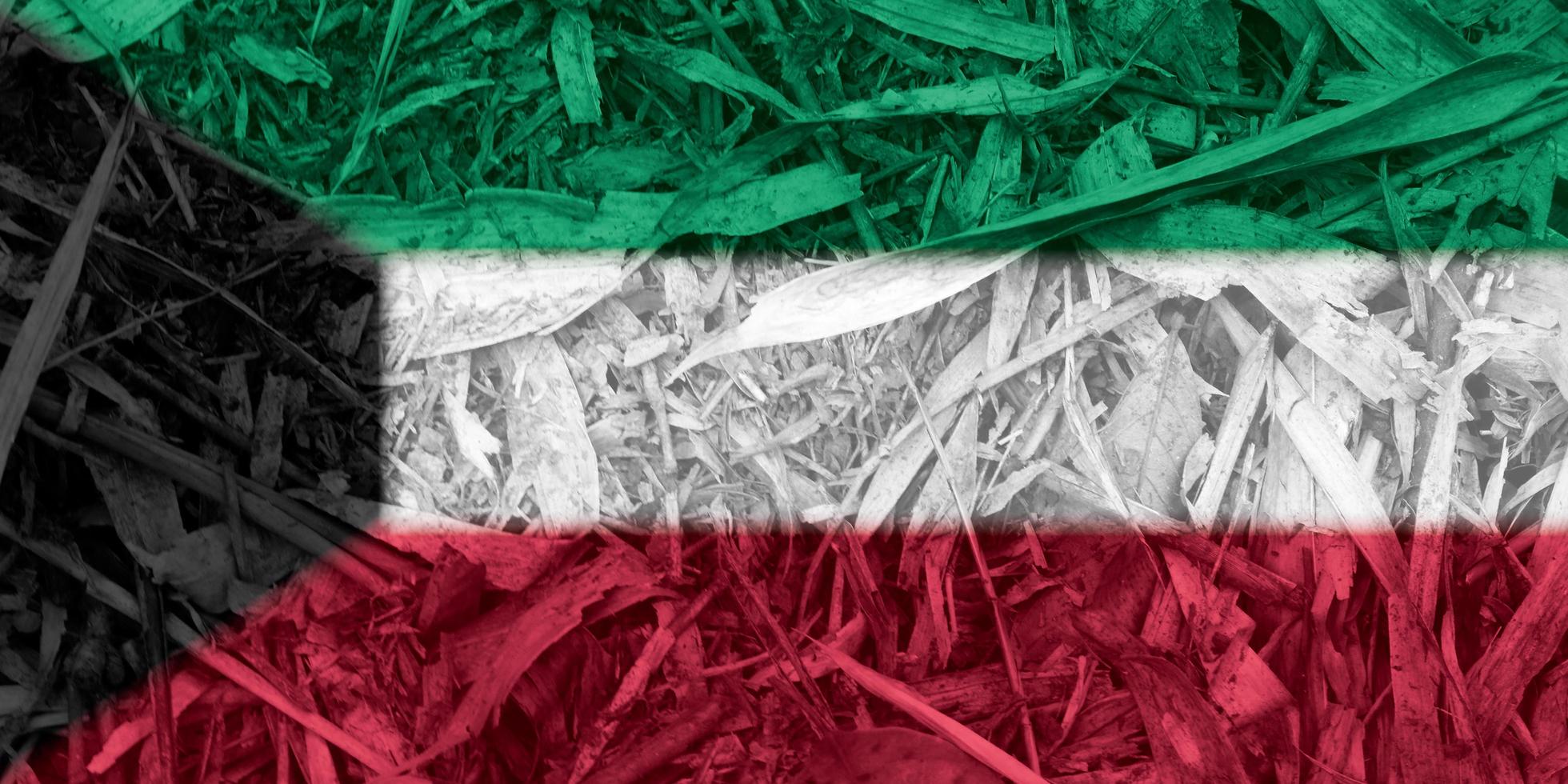 kuwait flagga textur som de bakgrund foto