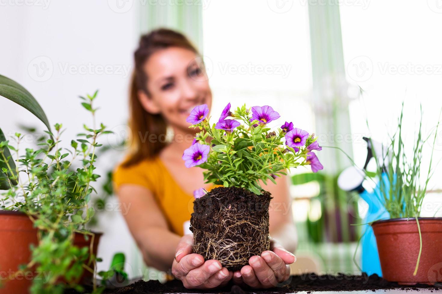 kvinna framställning blommor för plantering. trädgårdsmästare plantering blommor i pott. ung kvinna framställning blommor för plantering under trädgårdsarbete arbete. människor, trädgårdsarbete, blomma plantering och yrke begrepp foto