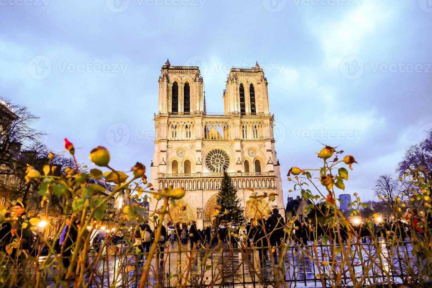 de notre dame katedral i paris, Frankrike foto
