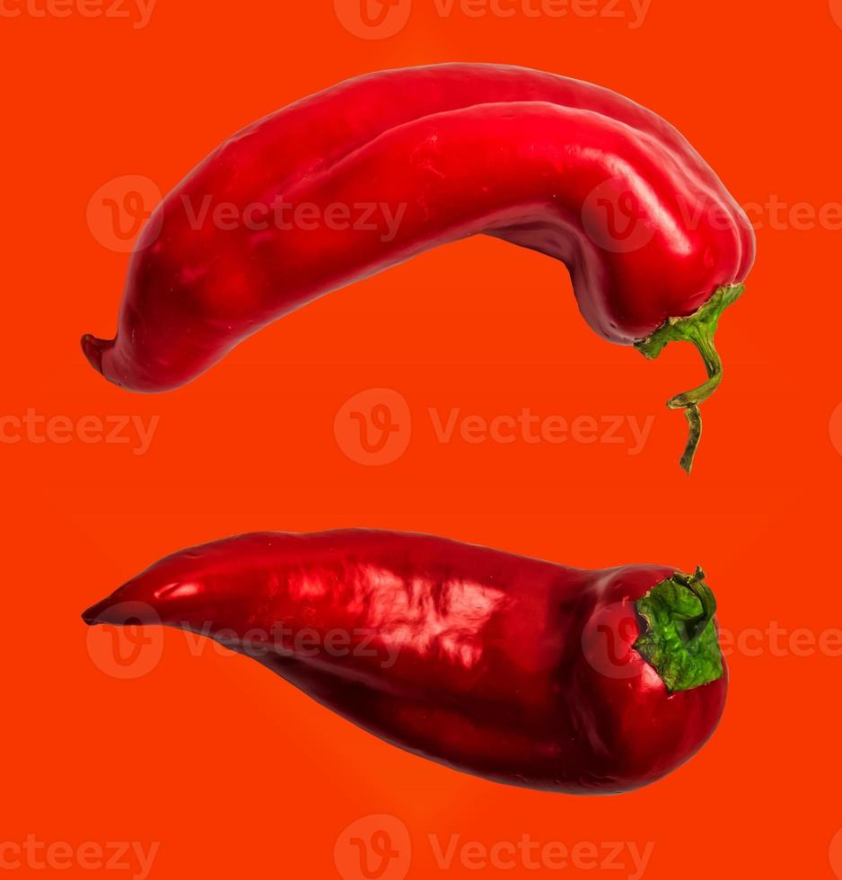 två hela röd spansk peppar ljuv klocka paprika, paprika, isolerat på röd bakgrund. stänga upp, kopia Plats. foto