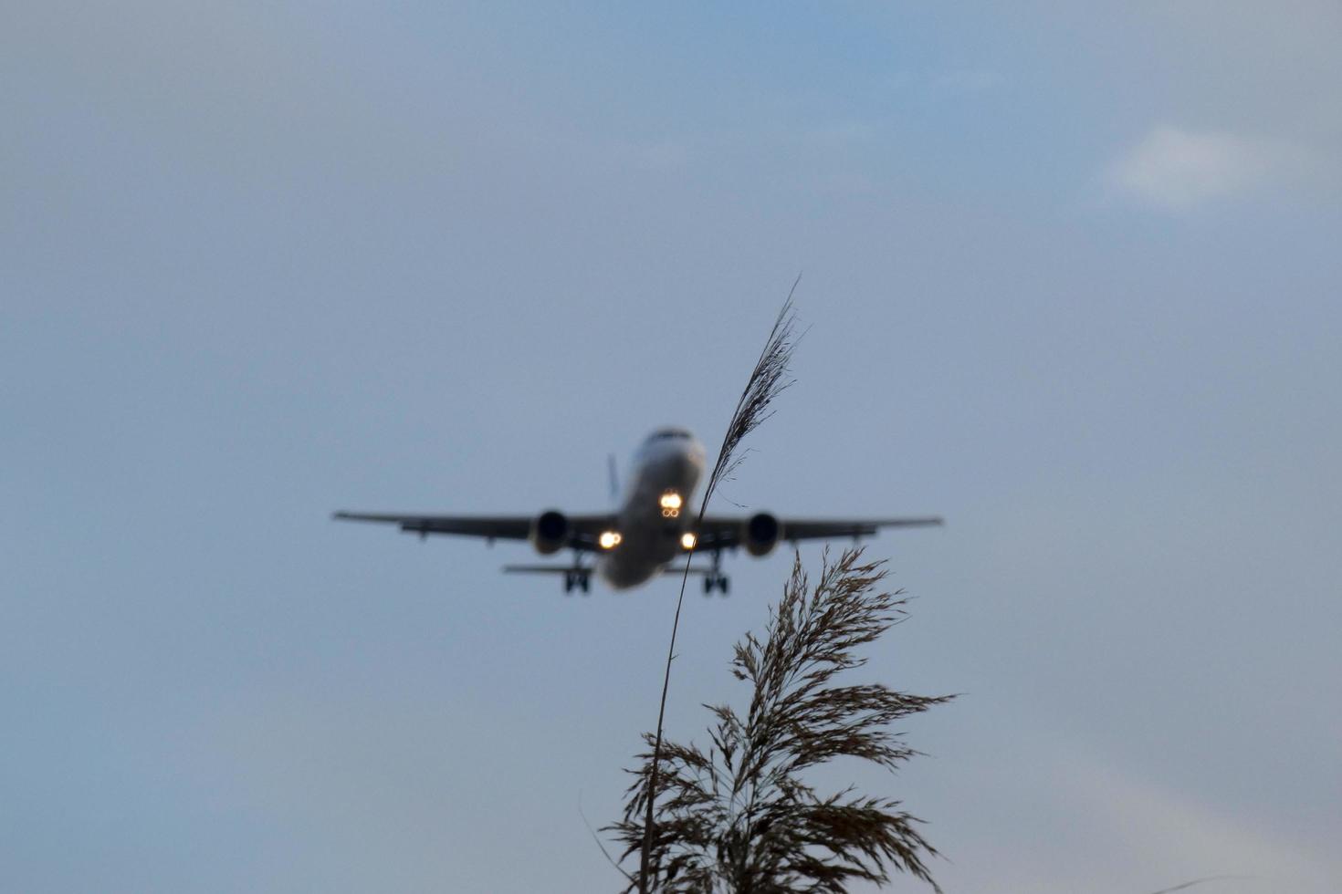 flygplan tar av från eller landning på ett flygplats foto